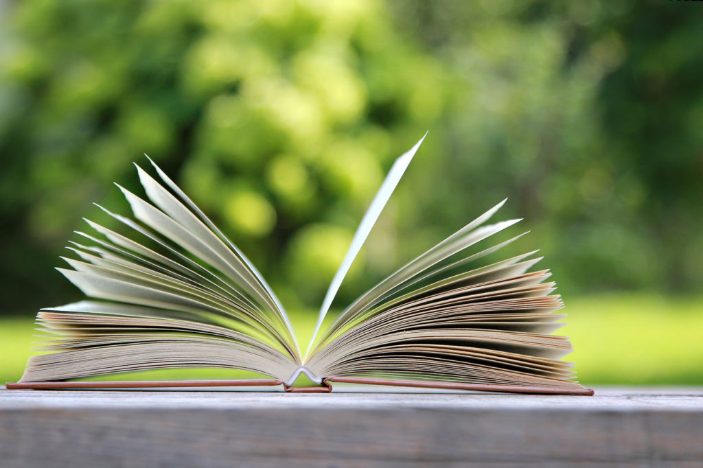 La-finalisation-sous-forme-de-livre